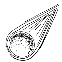 懂球帝